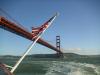 Golden Gate Bridge von unten: auf unserer Boottour durch die San Francisco Bay
fahren wir auch kurz durch das Golden Gate in den Pazifischen Ozean
und sehen dabei die Golden Gate Bridge von unten