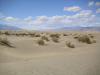 Mesquite Sand Dunes: wir halten mehrmals an den beeindruckenden Mesquite Sand Dunes im Death Valley,
die eine Fläche von 4km² bedecken und deren höchste Düne rund 50m hoch ist