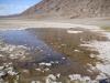 Badwater: in diesem quellengespeistes Becken in der Senke Badwater im Death Valley National Park 
leben ganz besondere Lebewesen, obwohl das umgebende Salz das Wasser ungenießbar macht