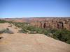 Fir Canyon: kurz bevor wir das Navajo National Monument Visitor Center in Arizona erreichen,
halten wir noch einmal, um einen schönen Blick in den Fir Canyon zu genießen