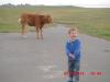 Oh, eine Kuh!: Was macht man denn da?