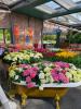 Blumenarrangements im Willem-Alexander-Pavillon 2: Blumenarrangements im Willem-Alexander-Pavillon 