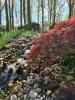 kleiner Wasserfall: kleiner Wasserfall