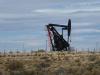 Erdöl in der Pampa : Erdölinsekt 