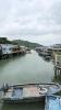 Hongkong Lantau 4: 