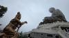 Hongkong Lantau 14: 