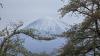 Fuji________: 